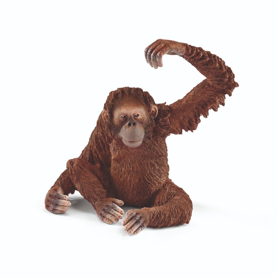 Schleich - Orangutan Female - Good Games