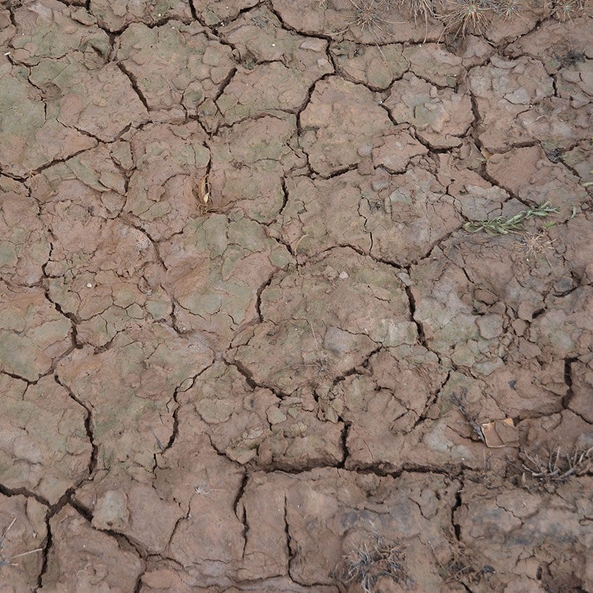 Close-up of deeply cracked, dry reddish-brown soil, indicating drought