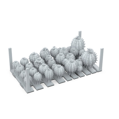 grey 3D print render of miniature spherical cacti models on support bases