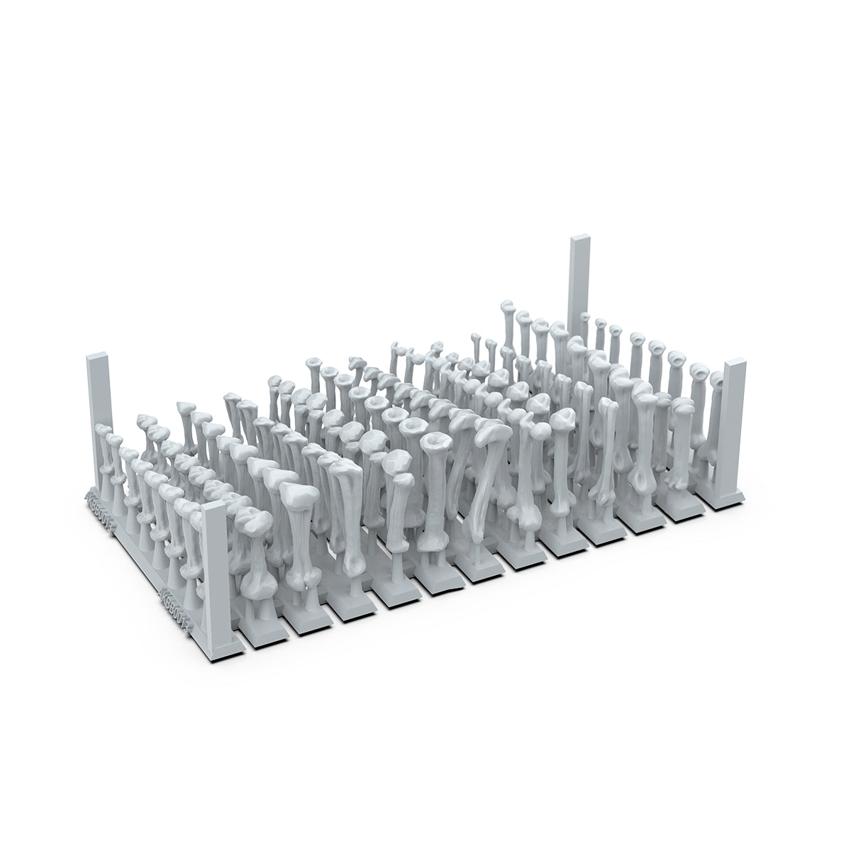 Clustered unpainted miniature anatomical bone parts on a rectangular resin sprue for scale models and dioramas
