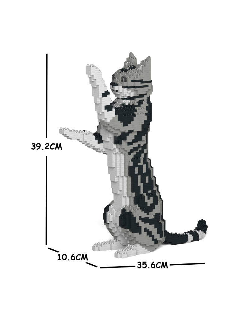 Jekca - American Shorthair Cat - Small (05S-M01) - Good Games