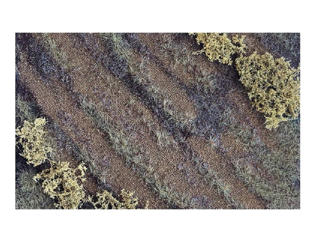Overhead view of dry terrain with parallel rows of brown earth and green grass, dotted with yellow-green shrubs.