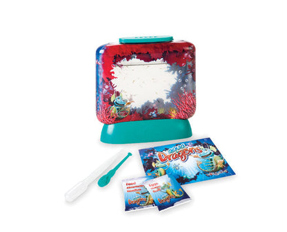 Aqua Dragons - Underwater World Box Kit