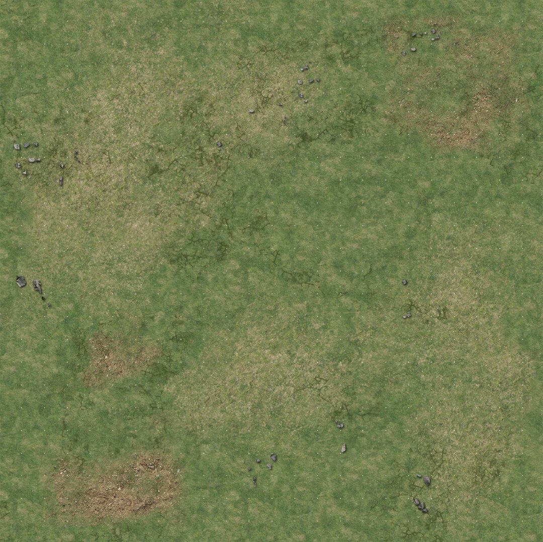 Aerial view of dry green and brown grass with scattered rocks and dirt patches.