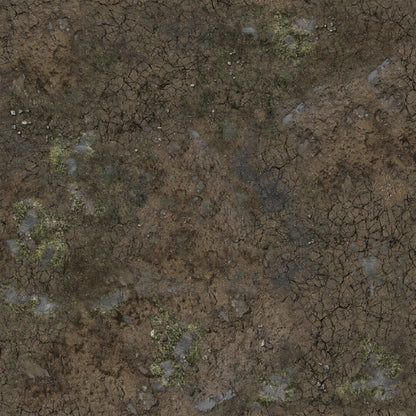Close-up of cracked, drying dark brown mud, showing patches of green moss, small puddles, and pebbles.