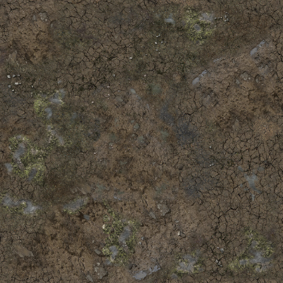 Close-up of cracked, drying dark brown mud, showing patches of green moss, small puddles, and pebbles.