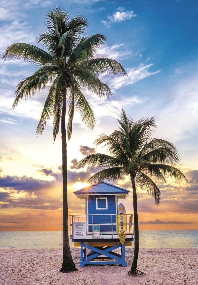 Miami Beach Florida (High Quality)