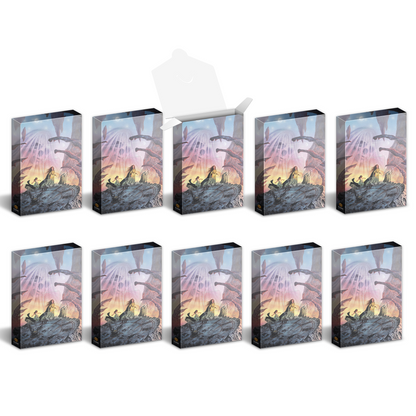 Ten boxes featuring fantasy art of robed figures on a rock, one box open and nine closed