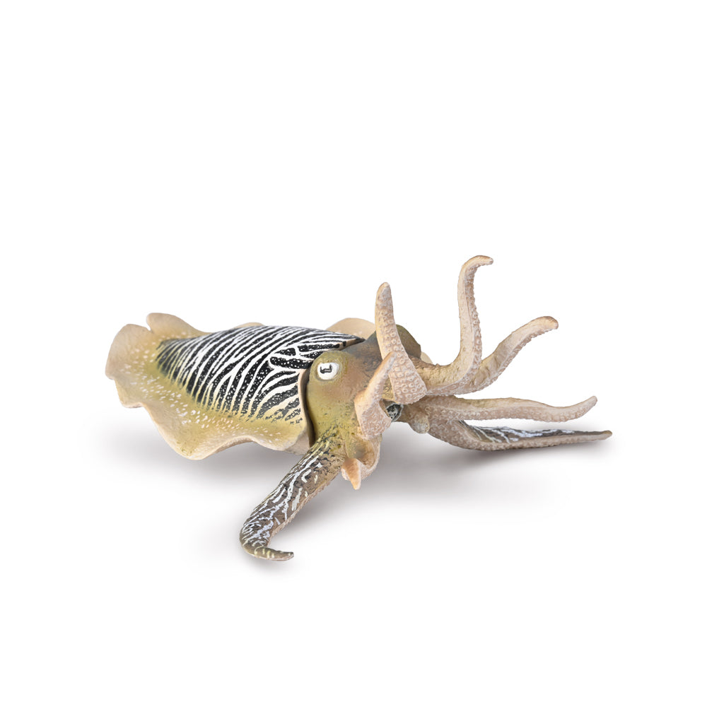 Collecta Common Cuttlefish (Xl) - Good Games
