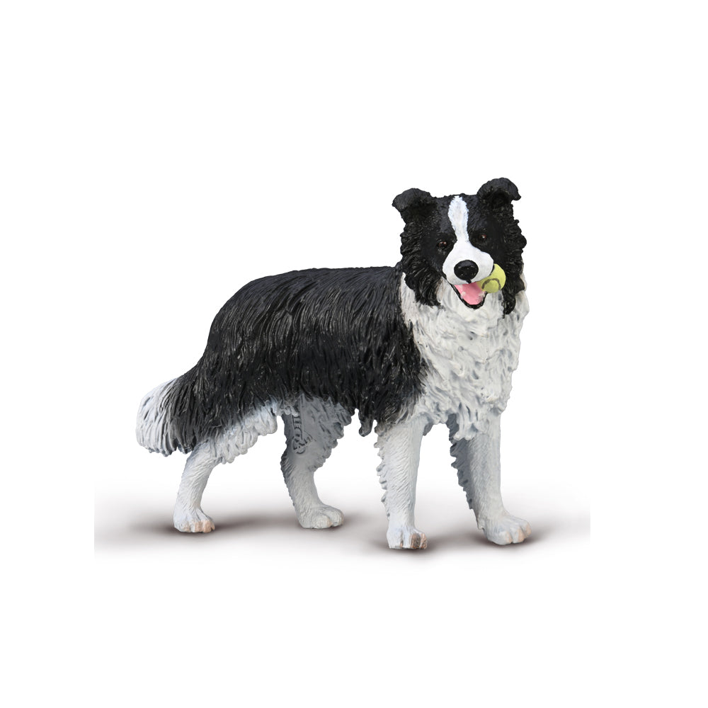 Collecta Border Collie (M) - Good Games