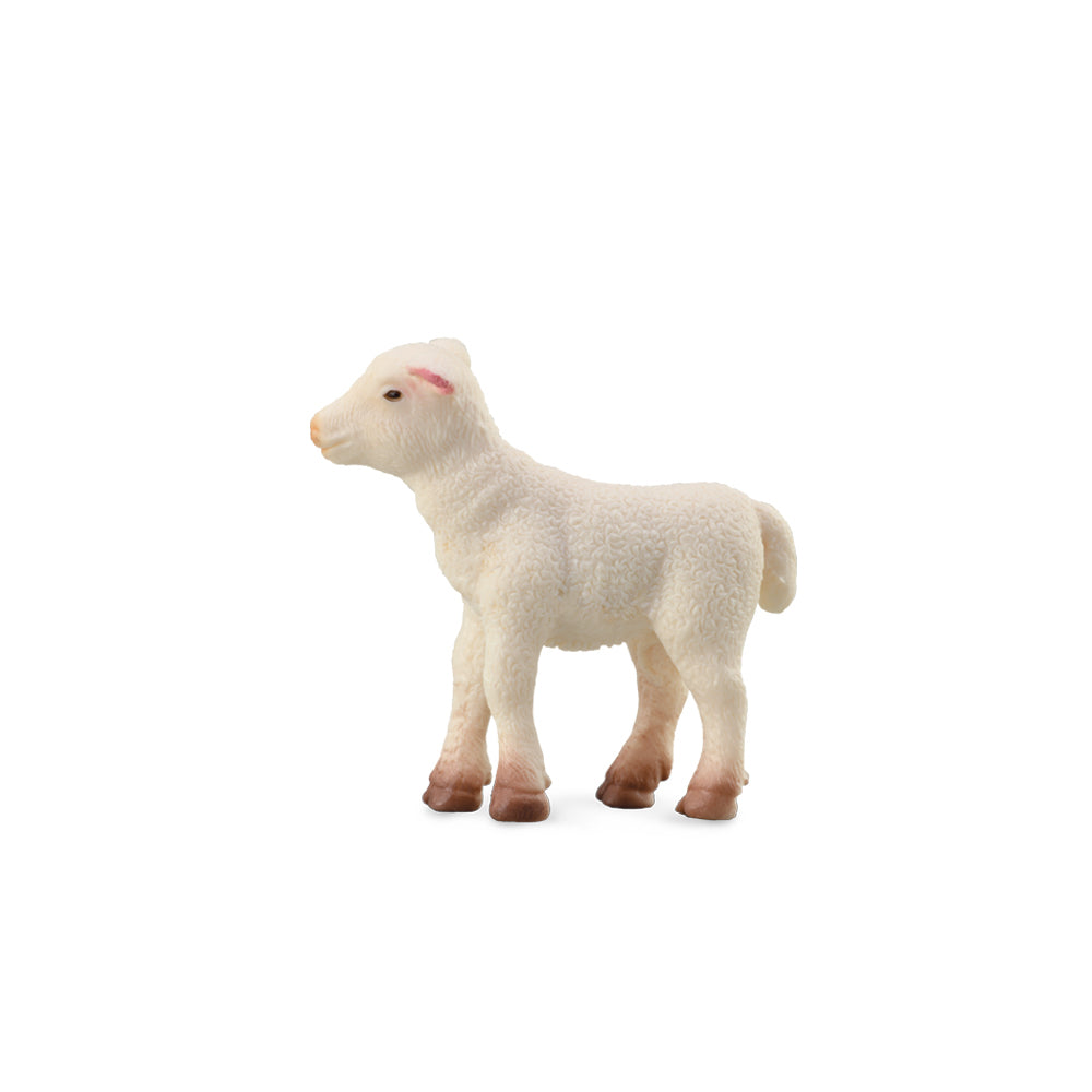 Collecta Lamb Standing (S) - Good Games