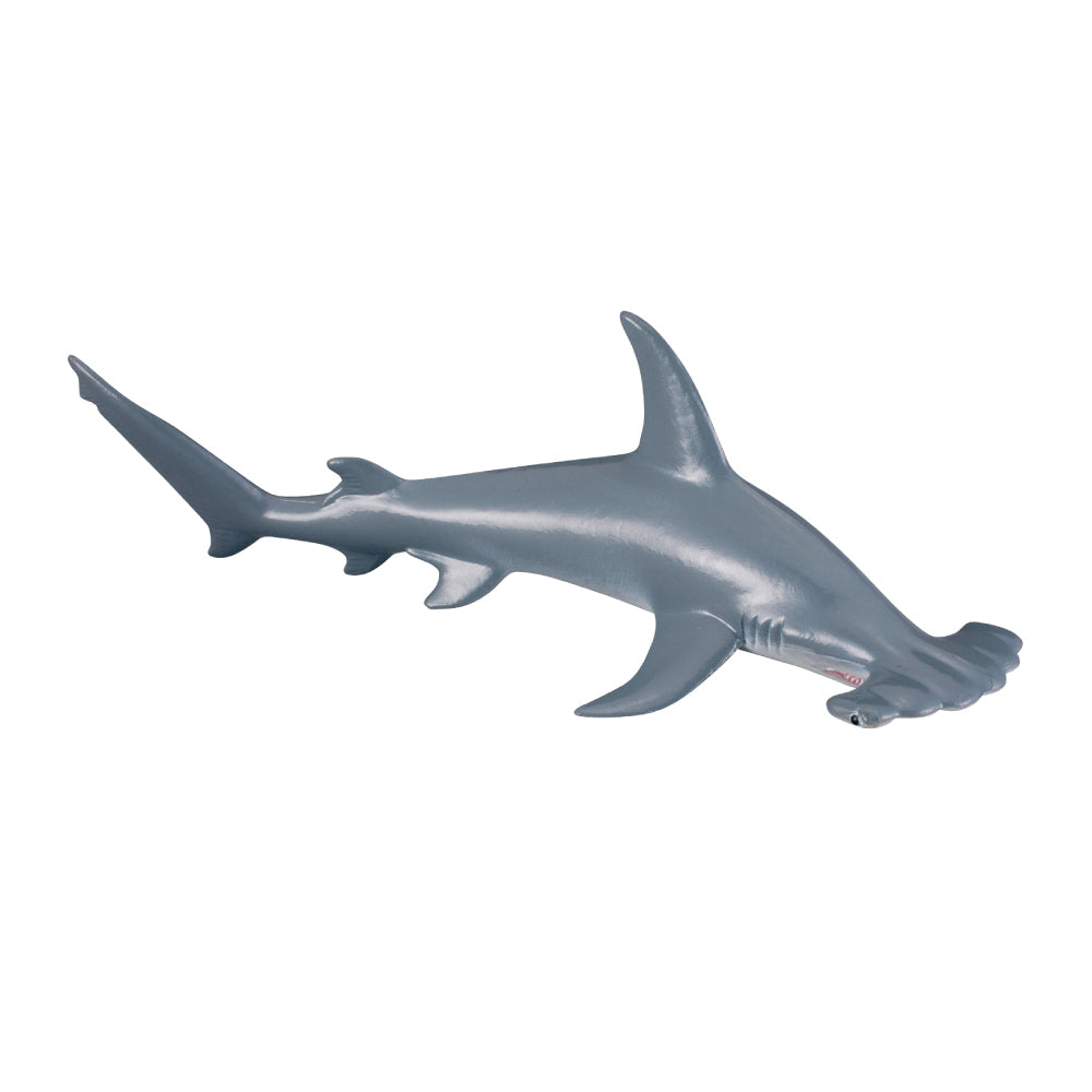 Collecta Scalloped Hammerhead Shark - M - Good Games