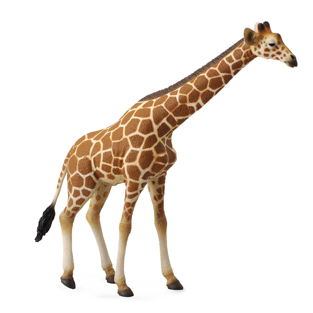 Collecta Reticulated Giraffe (Xl) - Good Games