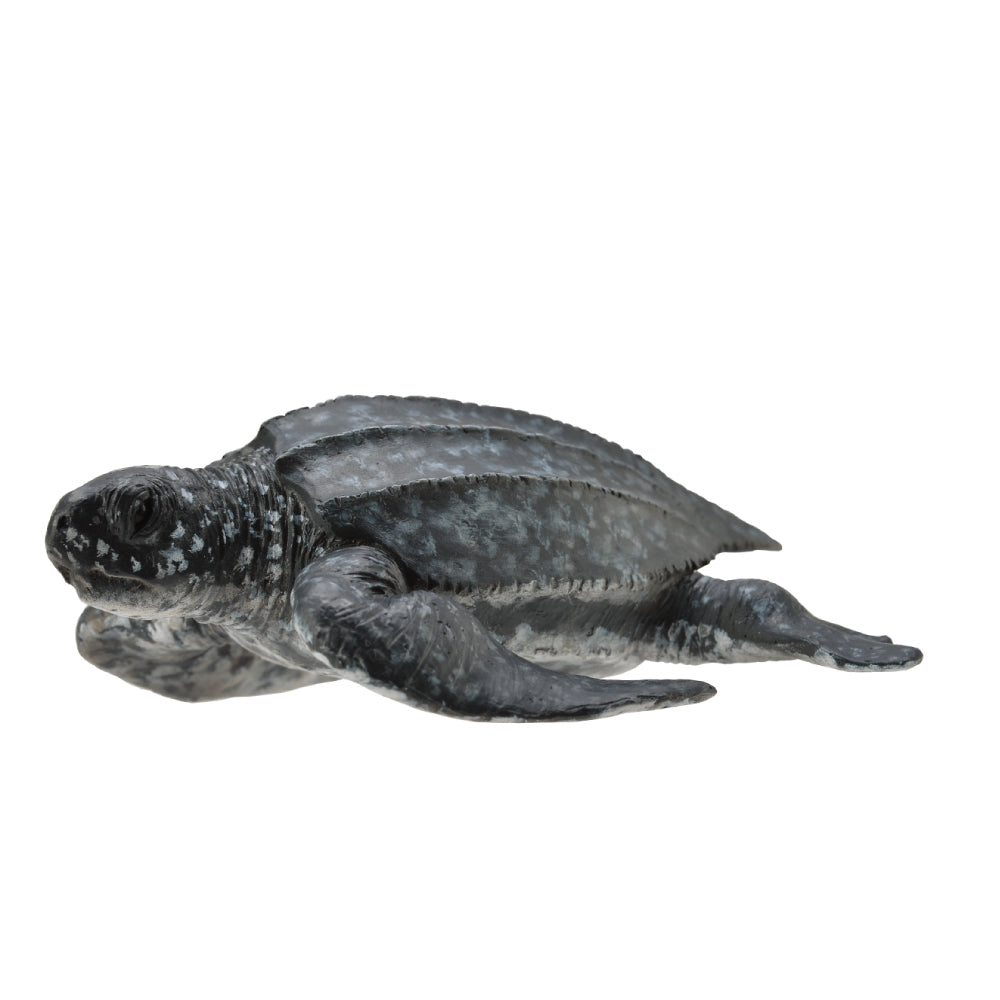 Collecta Leatherback Sea Turtle - M - Good Games