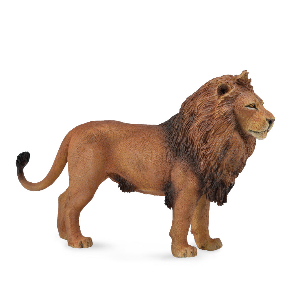 Collecta African Lion (L) - Good Games