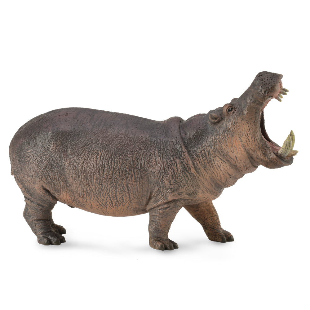 Collecta Hippopotamus (Xl) - Good Games