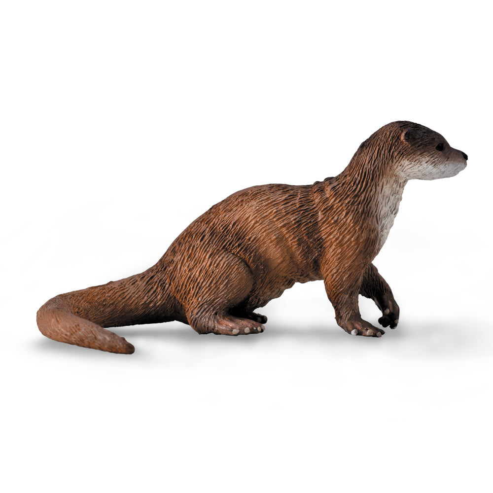 Collecta Common Otter (M) - Good Games