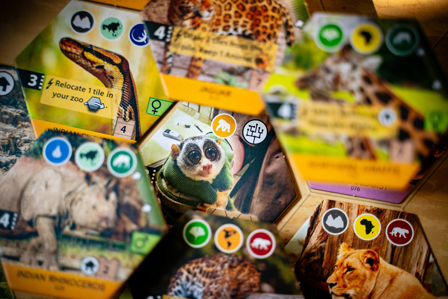 Close-up of hexagonal animal tiles from a board game, with the central tile showing a slow loris