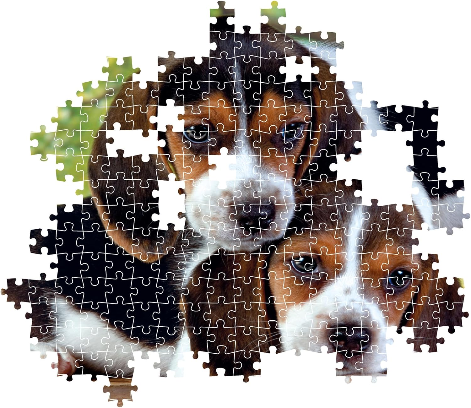 Two tricolor beagle puppies appear as a partially completed jigsaw puzzle
