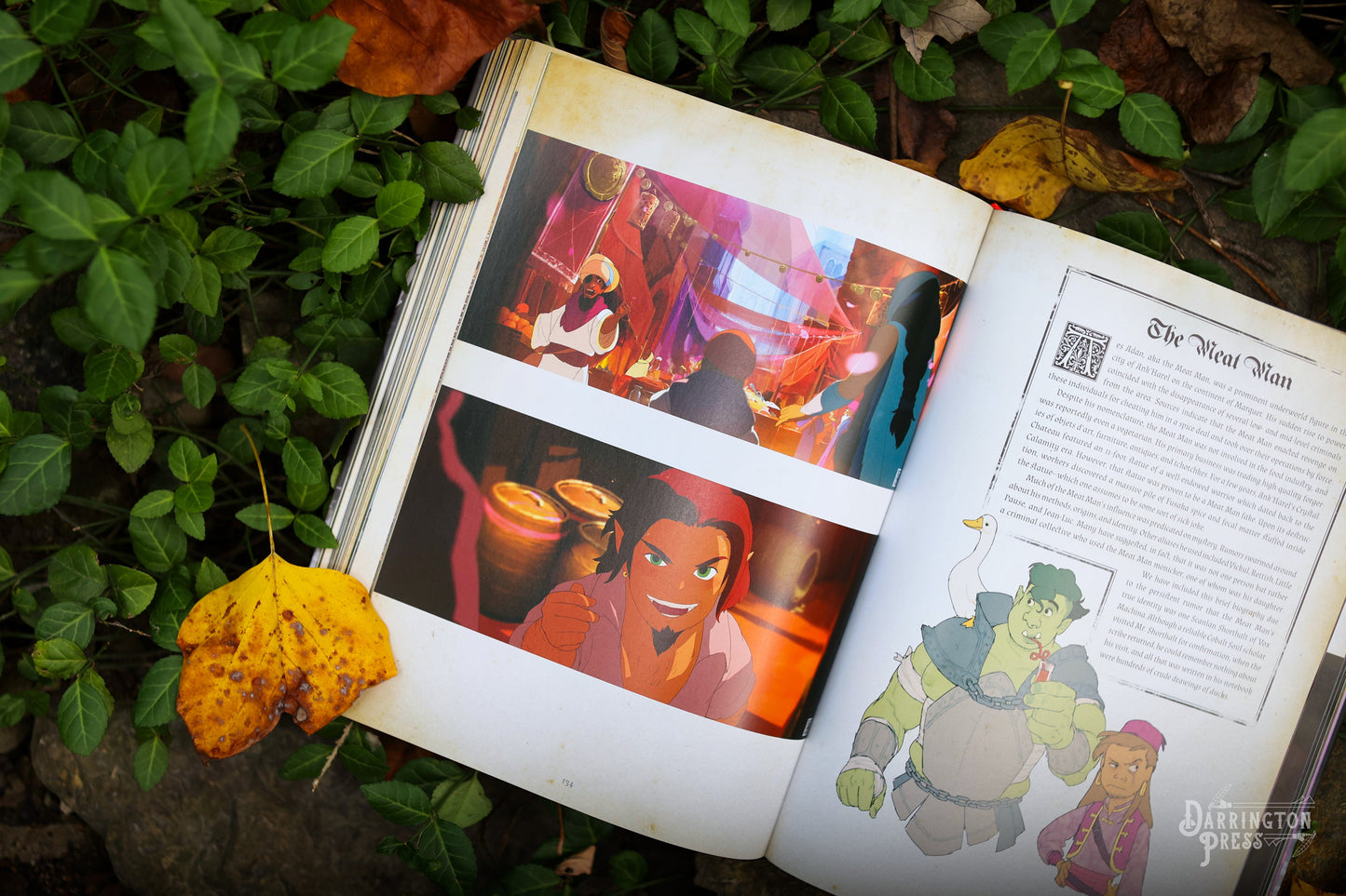 An open book on foliage shows vibrant animated fantasy art: a man in a market, a close-up of a man, and a green ogre. Text titled 'The Meat Man'