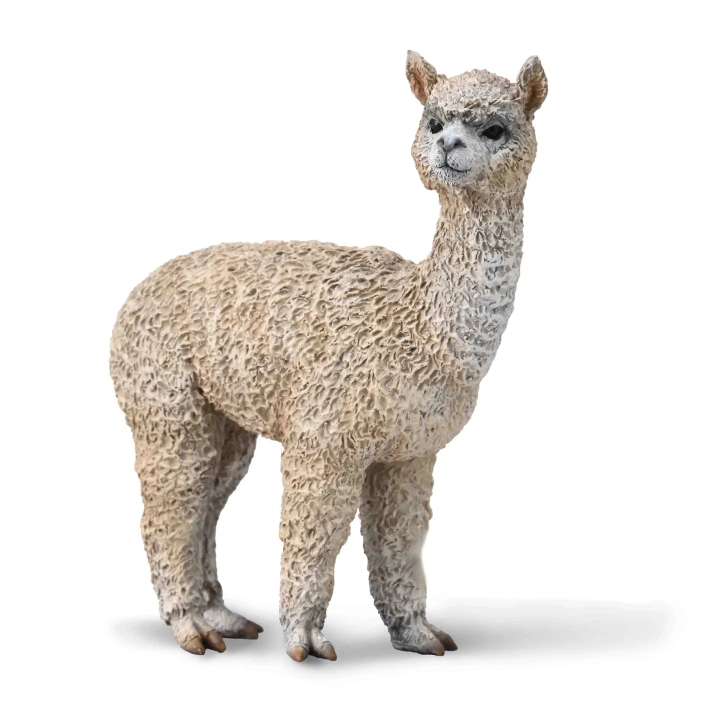 Collecta Alpaca - M - Good Games