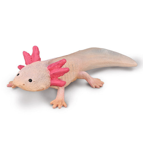 Collecta Axolotl (M) - Good Games