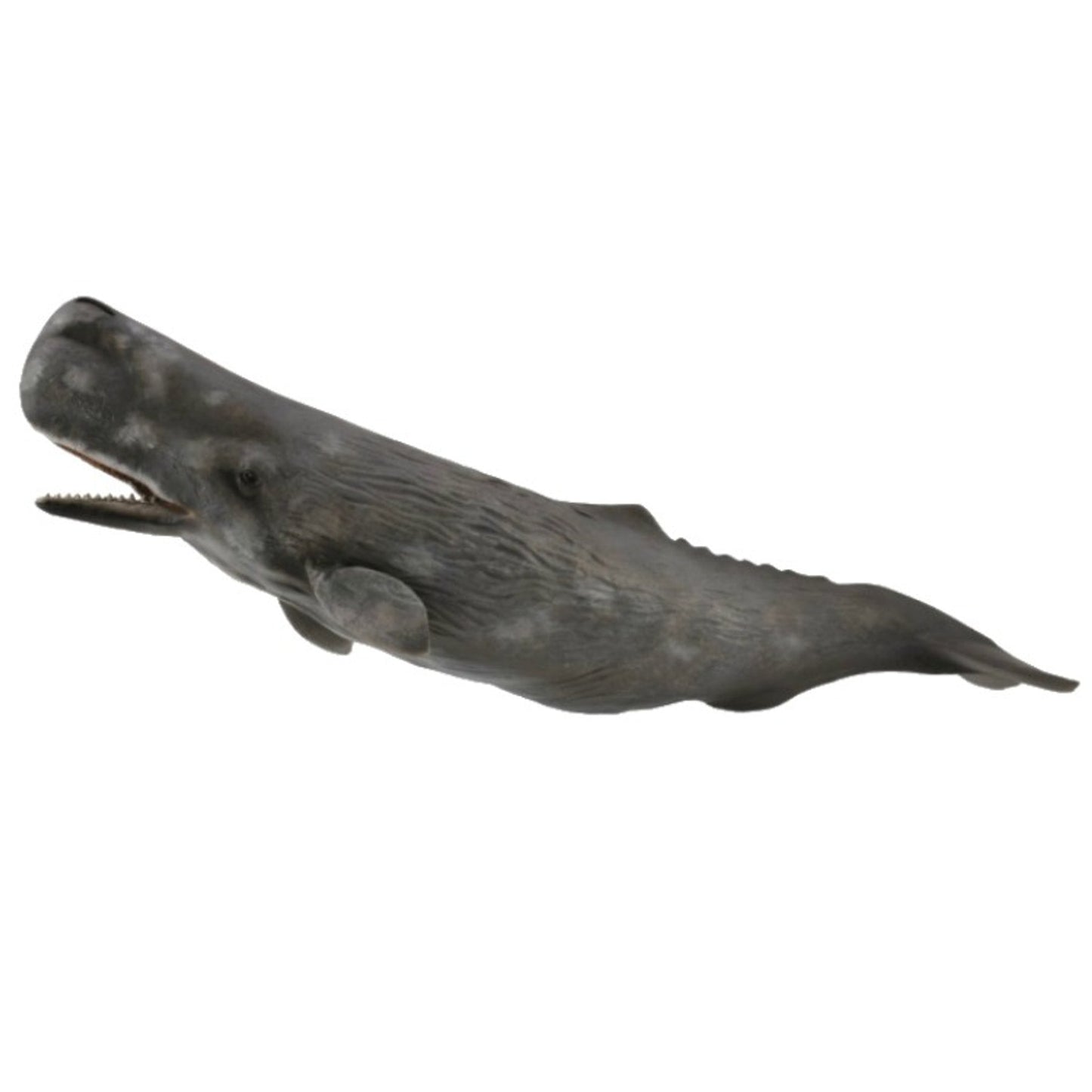 Collecta Sperm Whale (Xl) - Good Games
