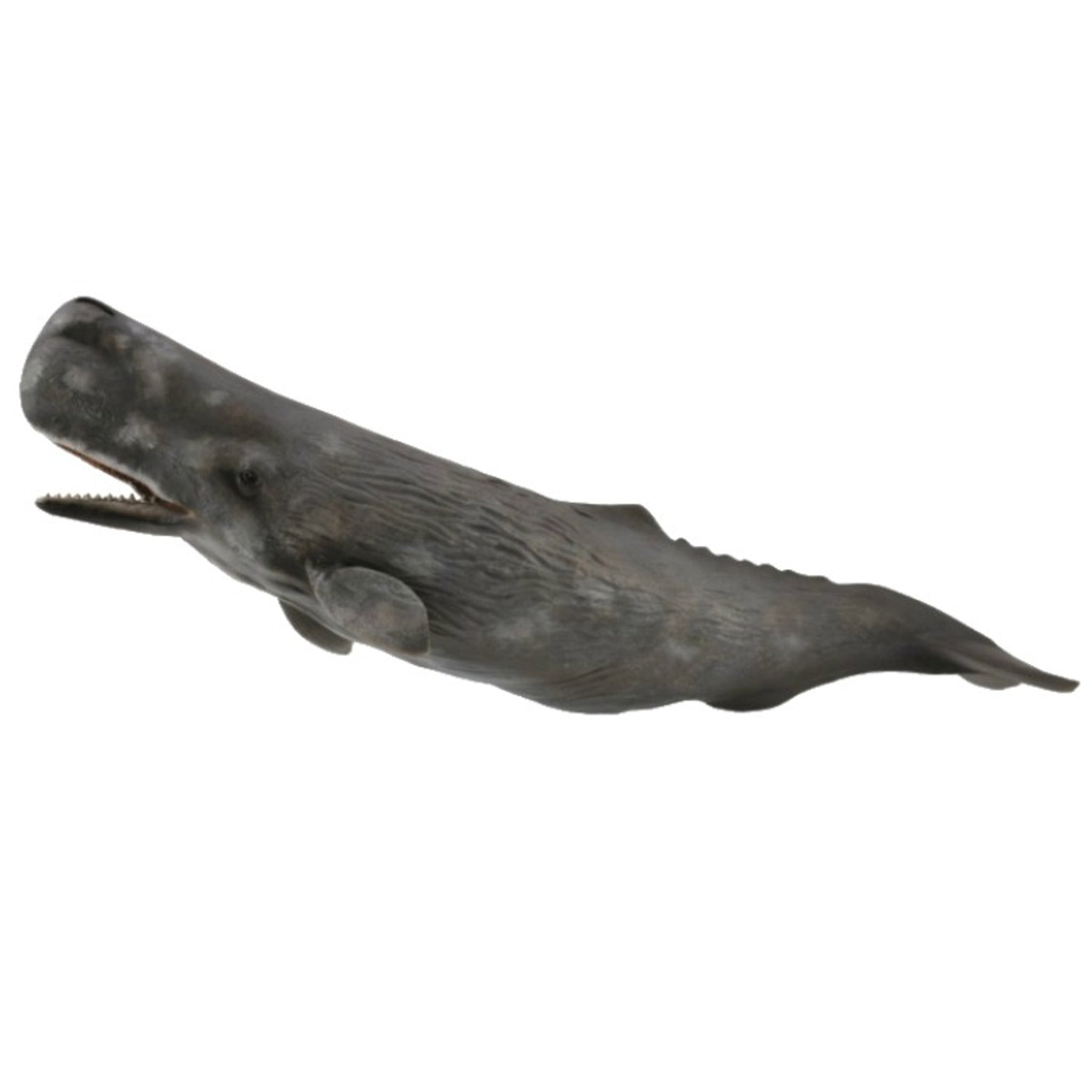 Collecta Sperm Whale (Xl) - Good Games