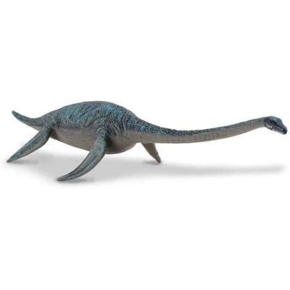 A blue-green Plesiosaur toy with a long neck and four flippers stands on a white background