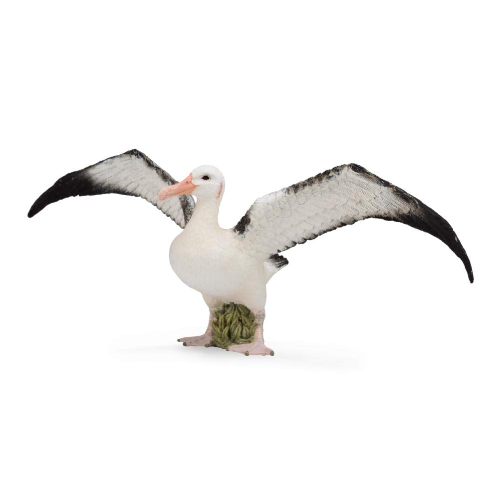 A Collecta Wandering Albatross toy with white body and black-tipped wings spread, standing on a green base