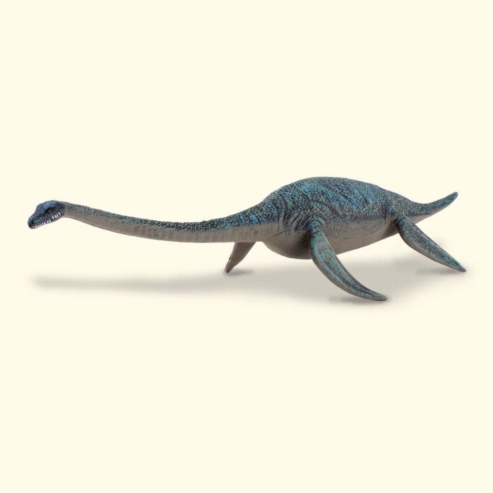 Blue-green plesiosaur toy with a long neck and four flippers, isolated on a light background