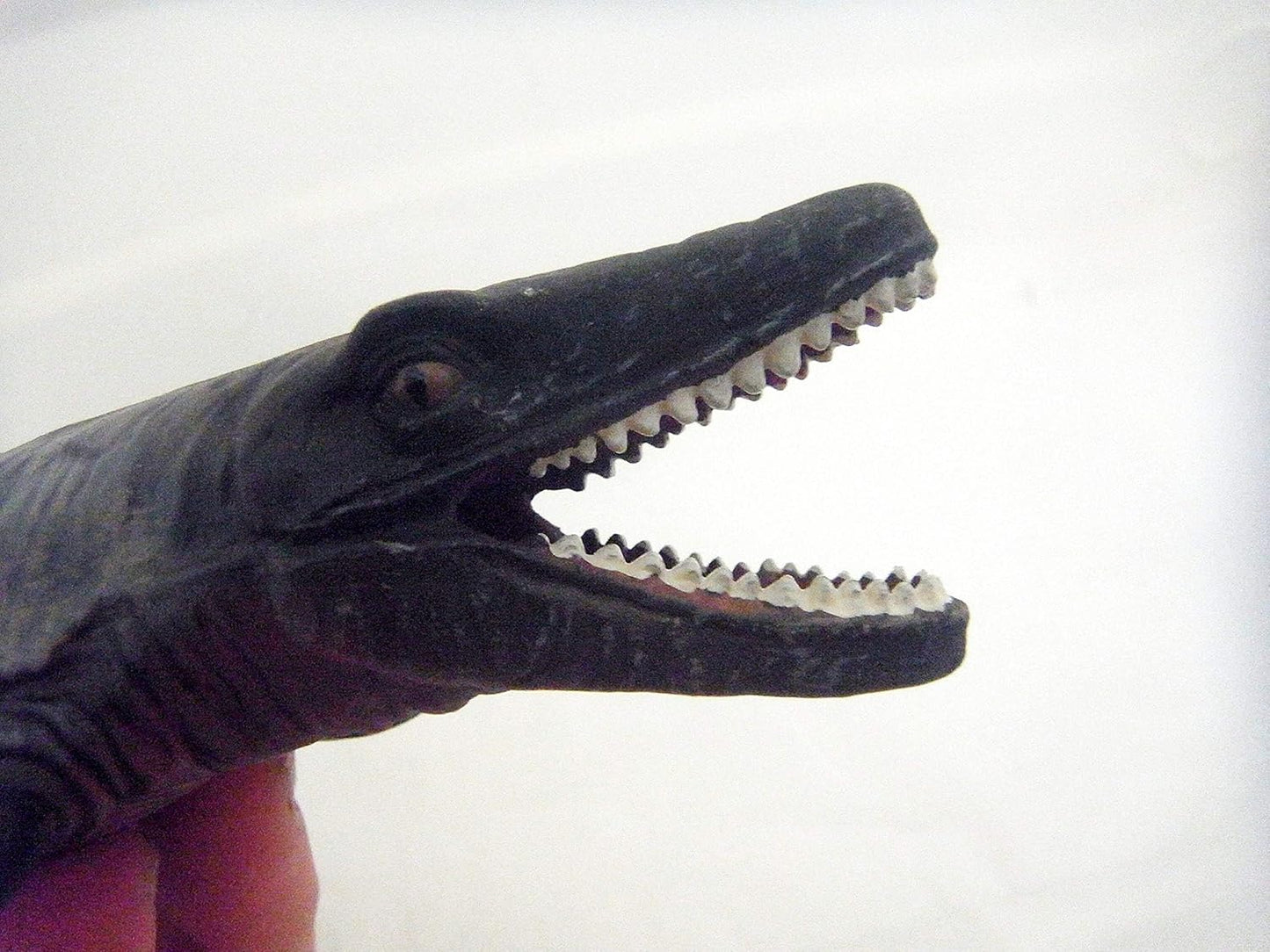 Dark mosasaur toy head with open mouth showing sharp teeth, held by a hand