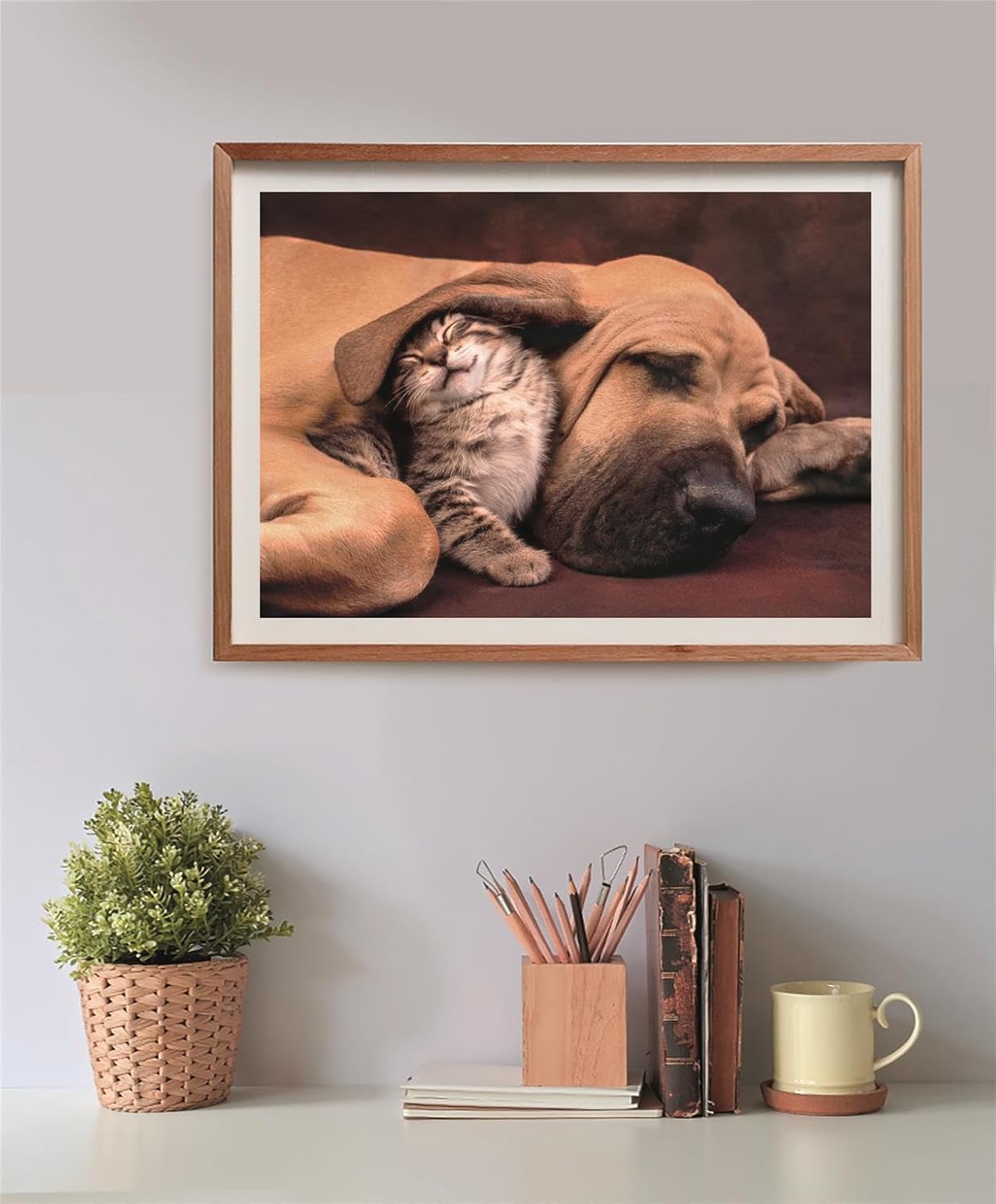 A framed picture shows a large tan dog sleeping peacefully with a contented tabby kitten snuggled against its head