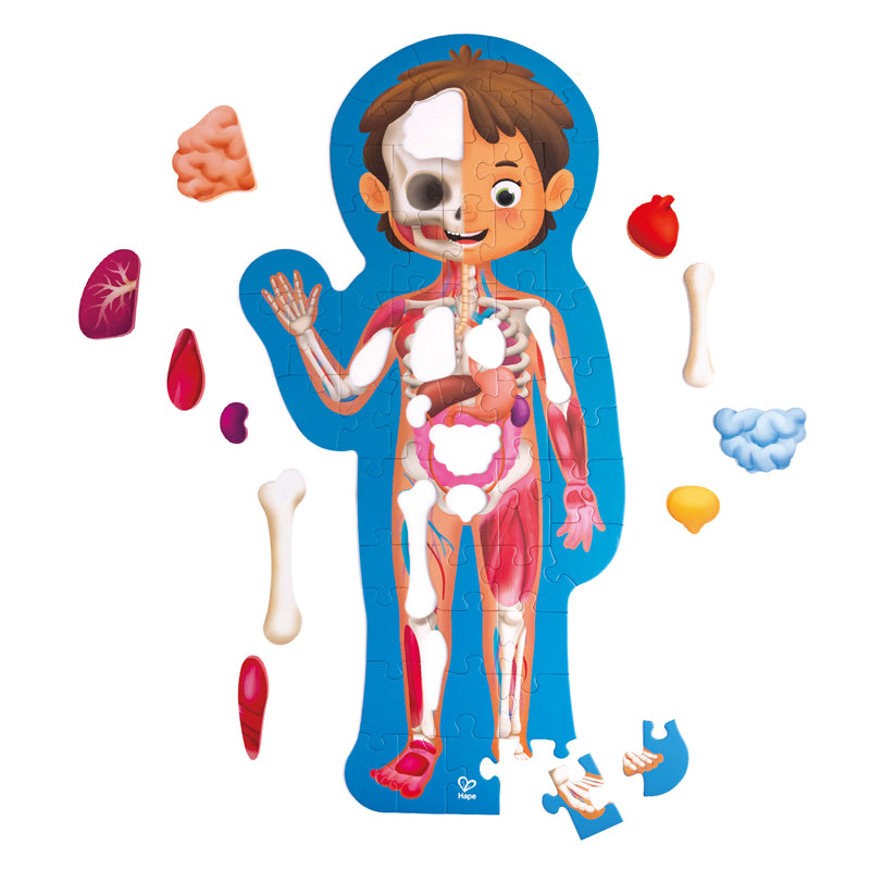 Human Body Puzzle - Good Games