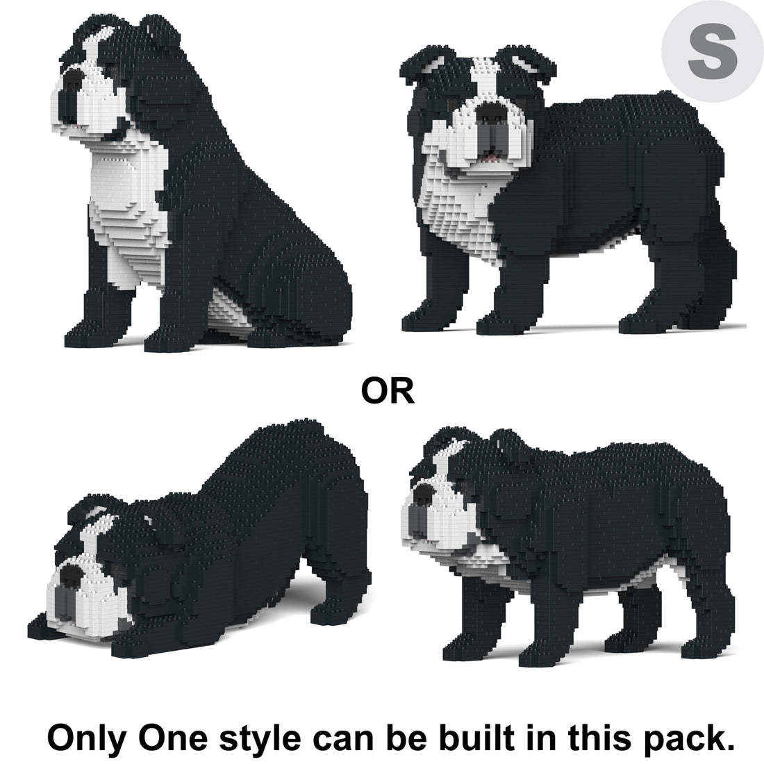 Jekca - English Bulldog 4-in-1 Pack 01S-M04