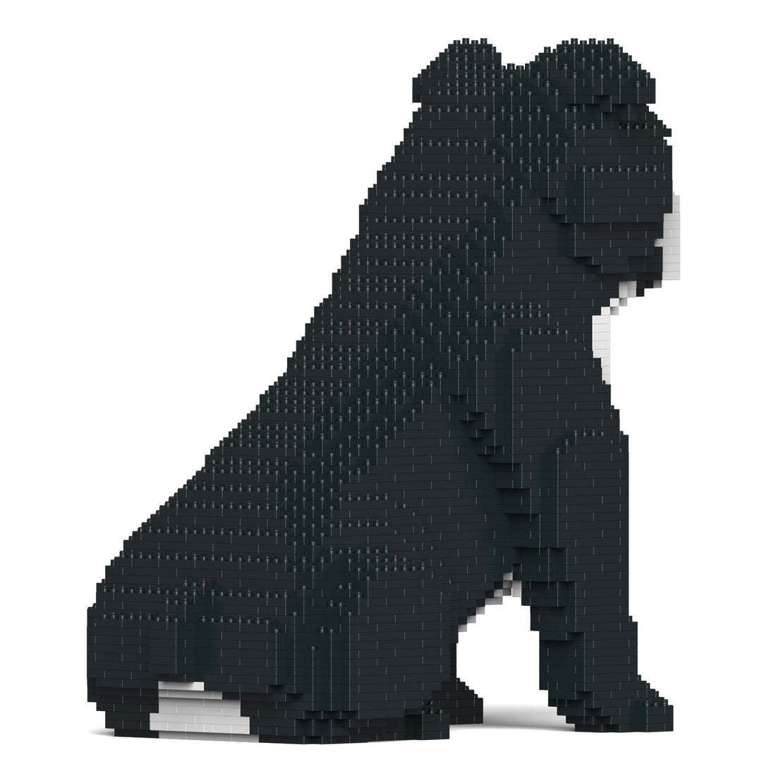 Jekca - English Bulldog 4-in-1 Pack 01S-M04