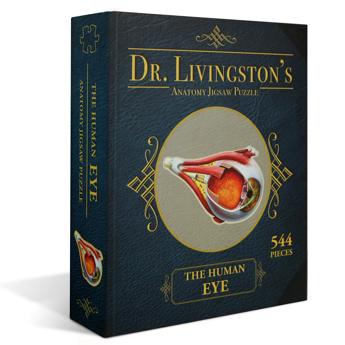 A dark blue Dr. Livingston&#39;s Human Eye Anatomy Jigsaw Puzzle box with gold text, an eye cross-section, and &quot;544 Pieces&quot;