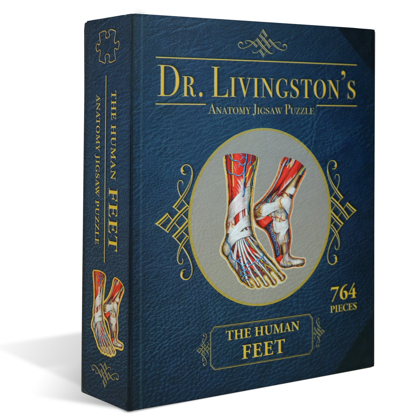 Genius Games Dr. Livingston's The Human Feet Anatomy Puzzle - 764 piece Jigsaw - Good Games