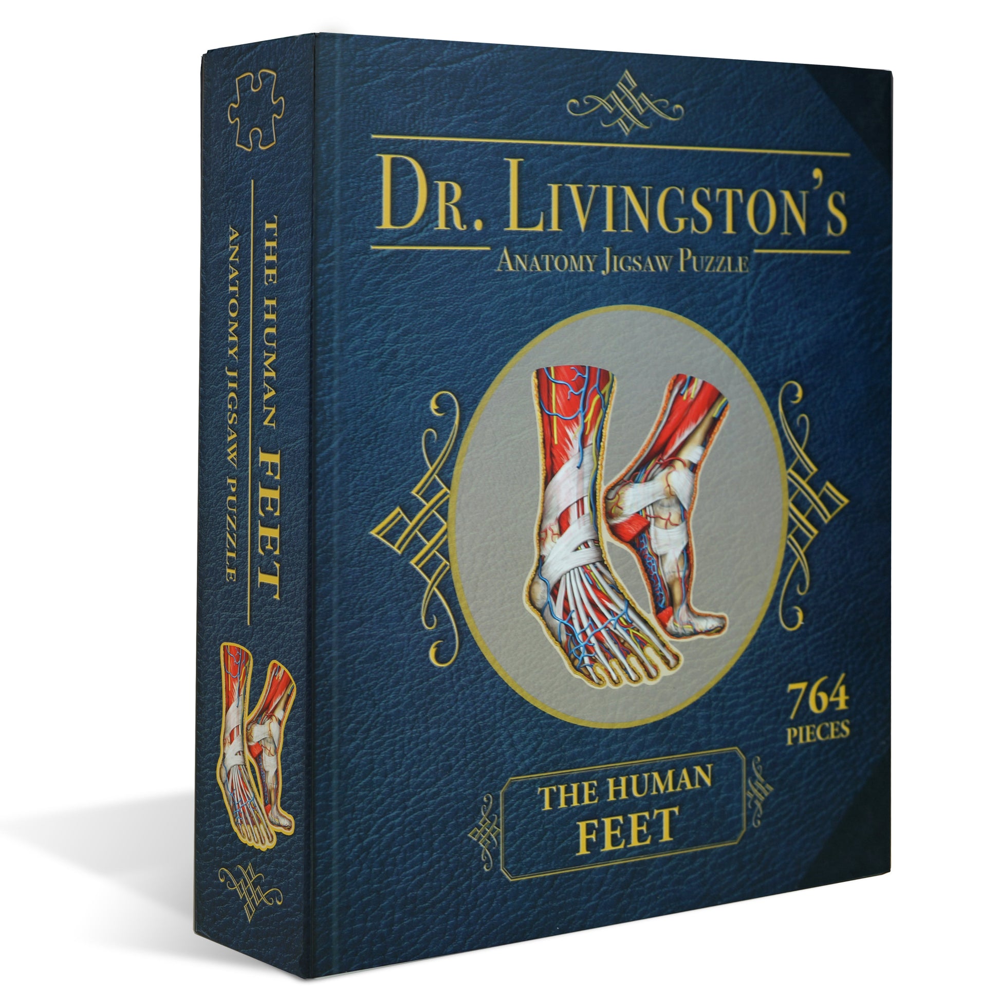 Genius Games Dr. Livingston's The Human Feet Anatomy Puzzle - 764 piece Jigsaw - Good Games