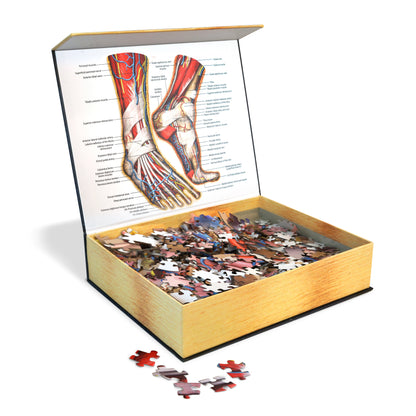 Genius Games Dr. Livingston's The Human Feet Anatomy Puzzle - 764 piece Jigsaw - Good Games
