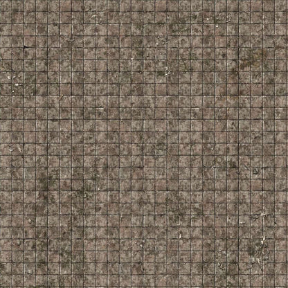 A gridded, weathered floor of brown and grey square tiles, covered in patches of moss, dirt, and cracks.