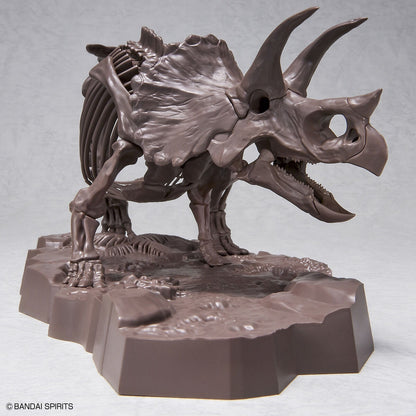 1/32 Imaginary Skeleton Triceratops - Good Games