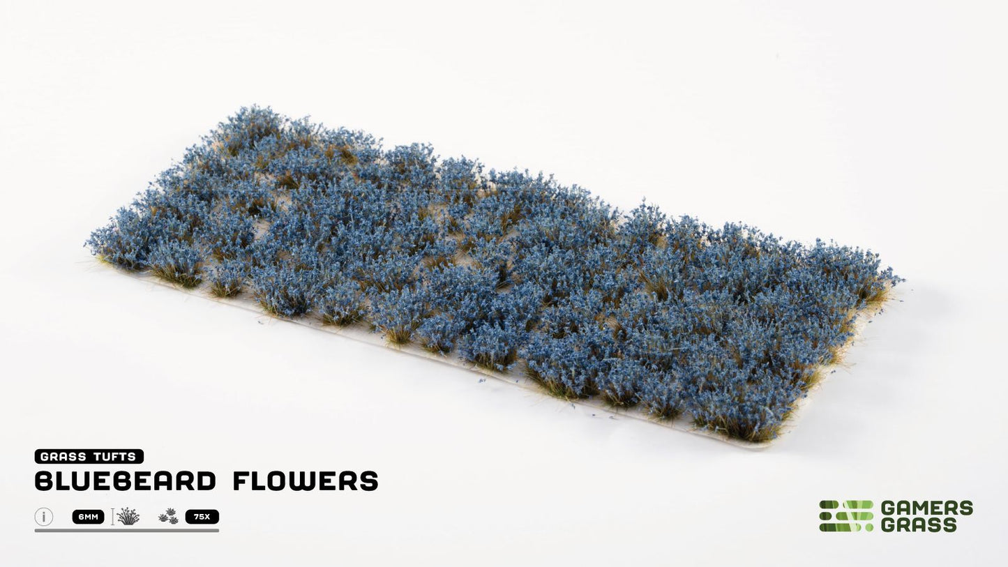 Gamers Grass Bluebeard Flowers: a sheet of miniature blue-flowered grass tufts on a white background