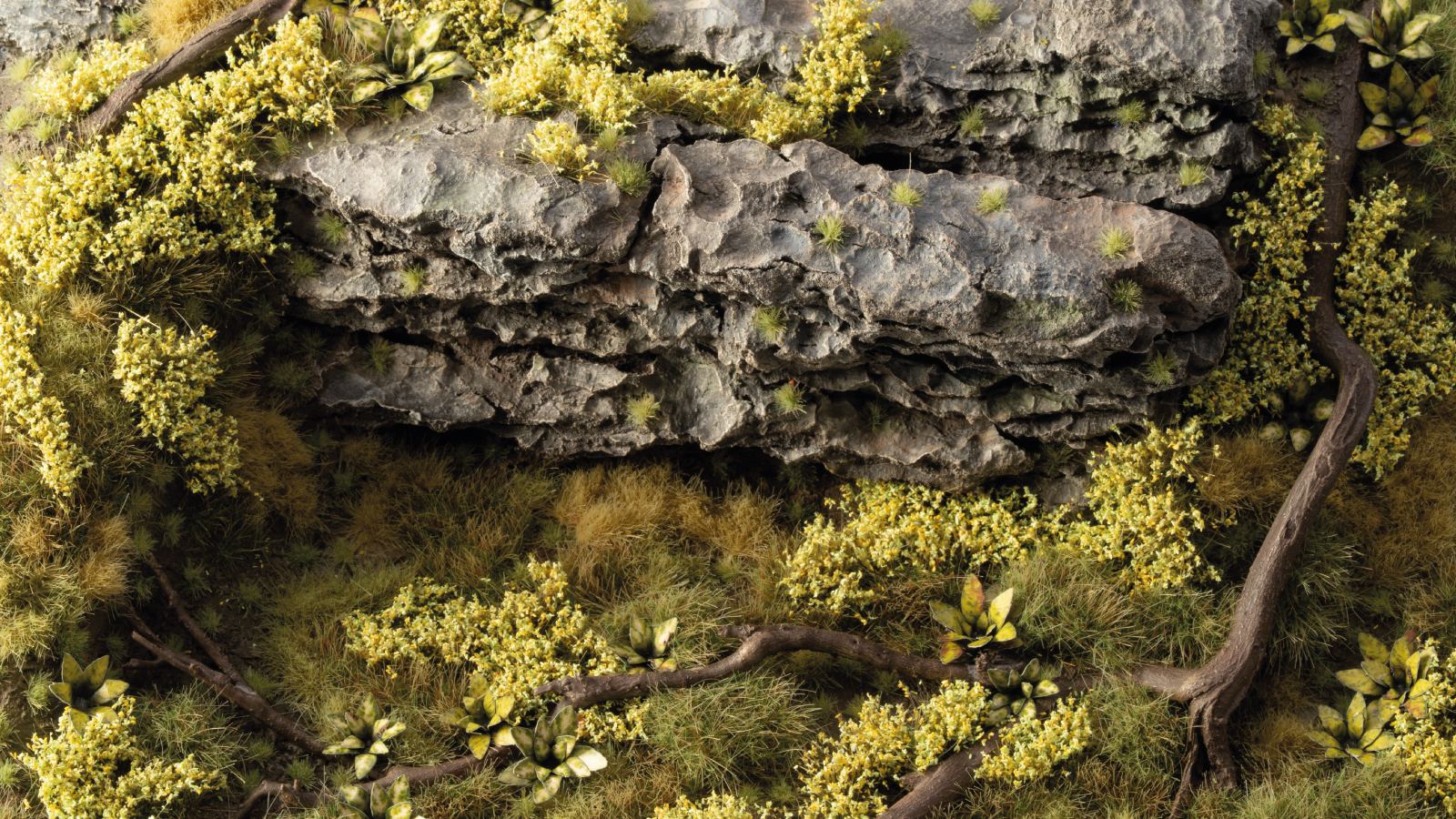 Close-up of rough gray rocks interspersed with bright yellow-green foliage and dark winding roots