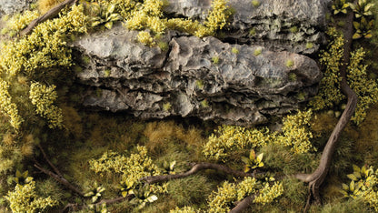 Close-up of rough gray rocks interspersed with bright yellow-green foliage and dark winding roots