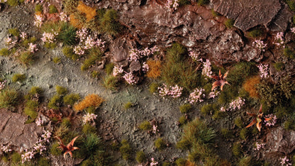 Detailed miniature terrain: textured brown earth, patches of green and golden grass, scattered pink flowers, and a gray winding path