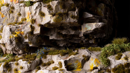 Textured gray rock formations covered in green grass, yellow lichen, and small blue flowers