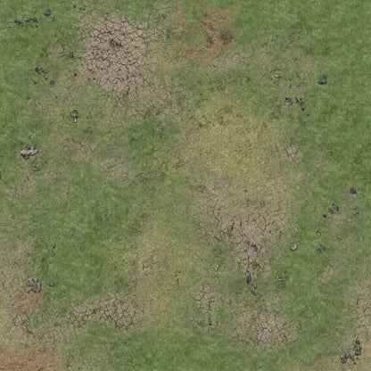 Patchy green grass and dry, cracked earth with scattered rocks, seen from above.