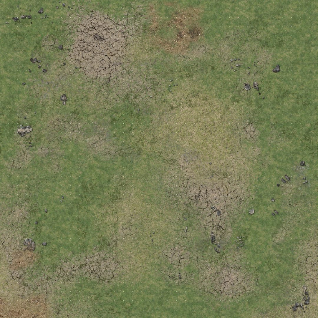 Patchy green grass and dry, cracked earth with scattered rocks, seen from above.