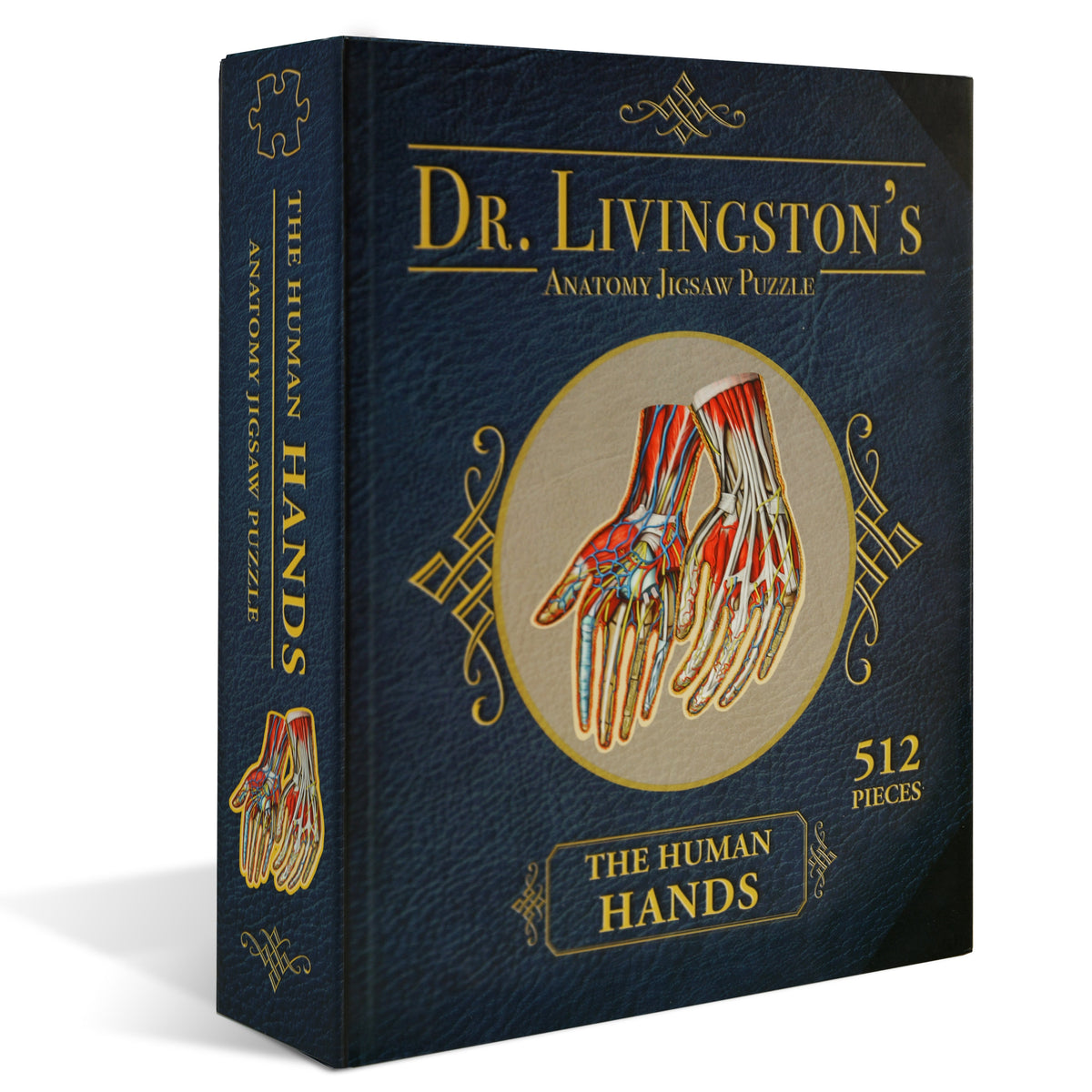 A dark blue box for &#39;Dr. Livingston&#39;s Human Hands Anatomy Jigsaw Puzzle&#39;, with detailed hand anatomy